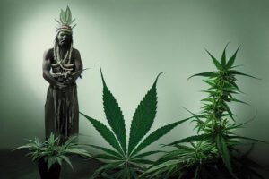 cannabis in popular culture