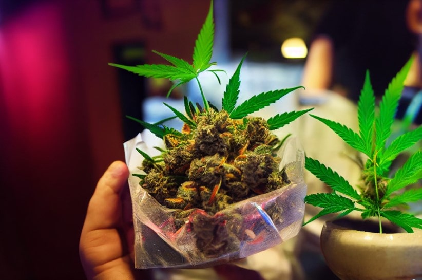 10 benefits of using cannabis for medical purposes