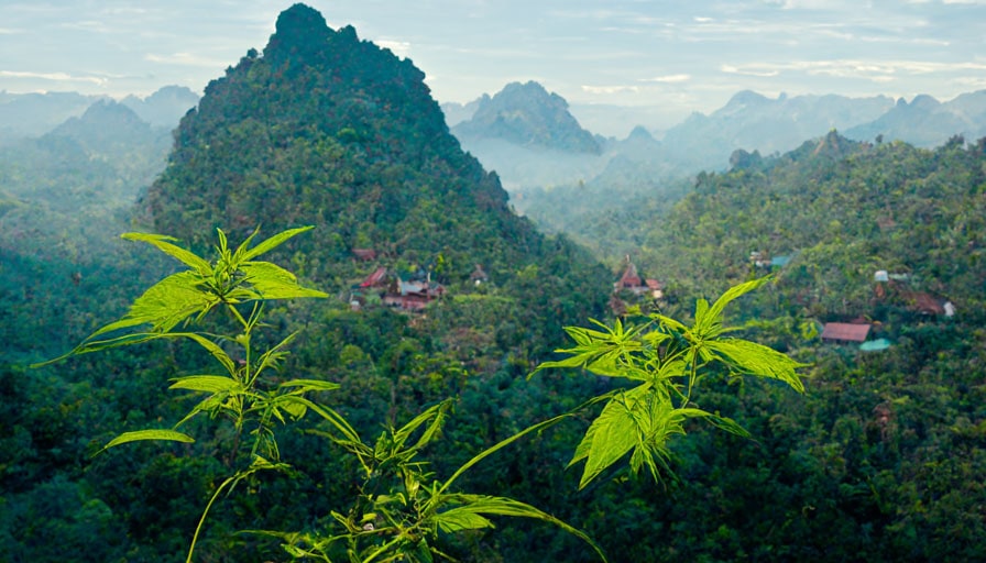 the koh kood island