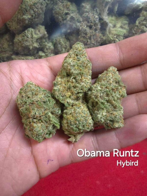 Obama Runtz - Hybrid