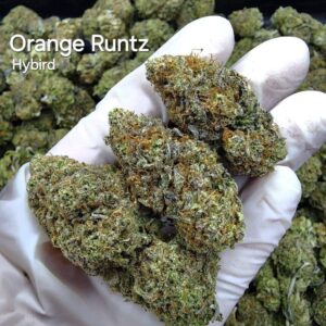 Orange Runtz - Weed Strain - Koh Kood Island