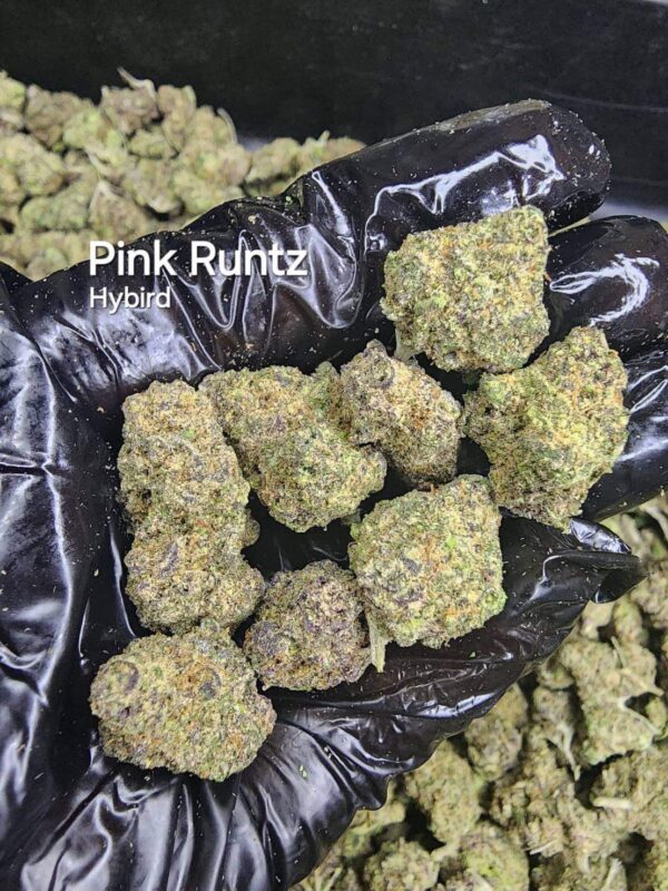 Pink Runtz - Marijuana Strain