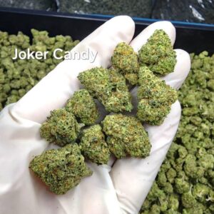 Joker Candy - Marijuana Strain