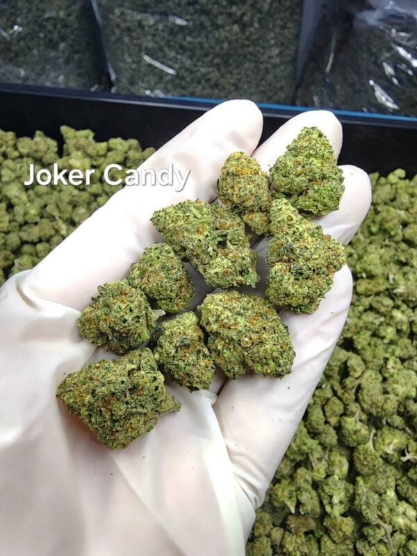 Joker Candy - Marijuana Strain