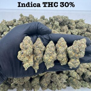 White Truffle indica - Cannabis strain