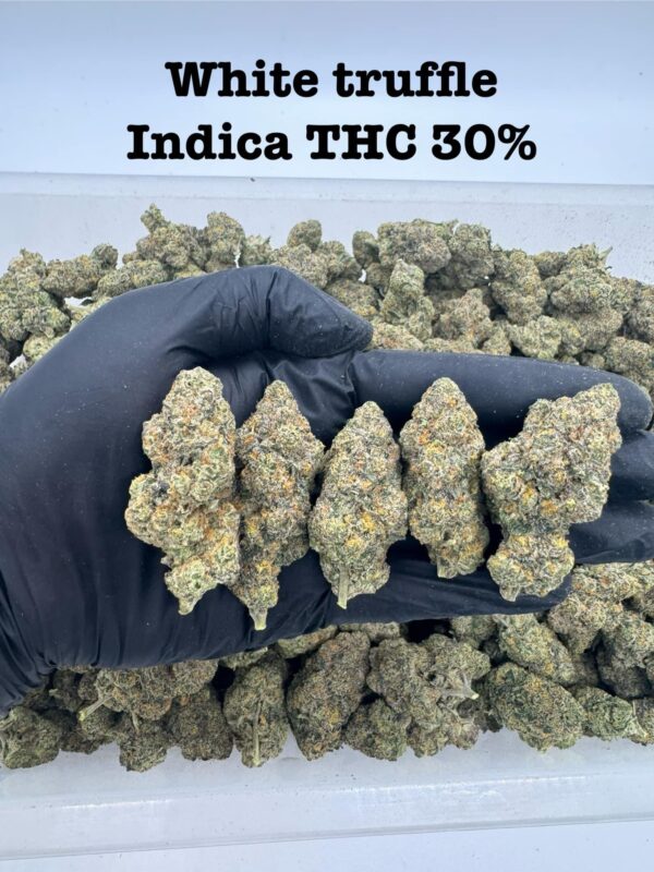 White Truffle indica - Cannabis strain