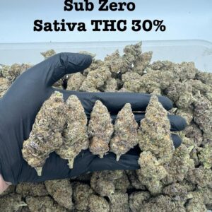 Sub Zero - sativa - Weed strain