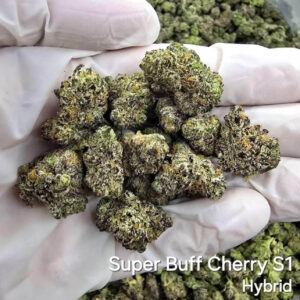 Super Buff Cherry - hybrid - Marijuana Strain