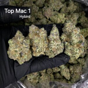 Top Mac 1 aka The MAC - hybrid - Weed Strain