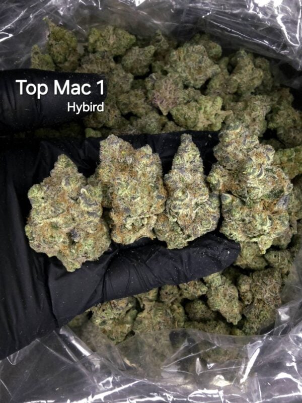 Top Mac 1 aka The MAC - hybrid - Weed Strain