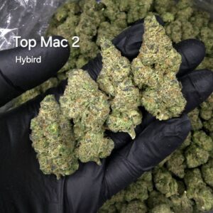 Top Mac 2 aka MAC v2 - hybrid - Weed Strain