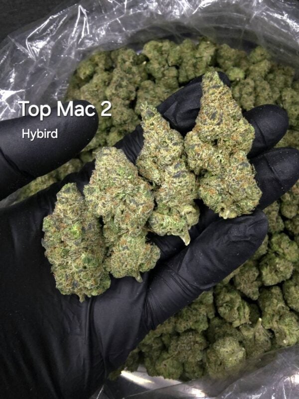 Top Mac 2 aka MAC v2 - hybrid - Weed Strain