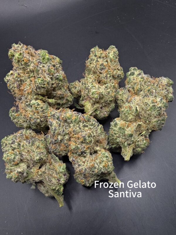 Frozen Gelato - Sativa - Strain