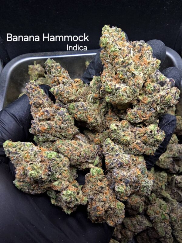 Banana Hammock - Indica Weed Strain - Koh Kood Island