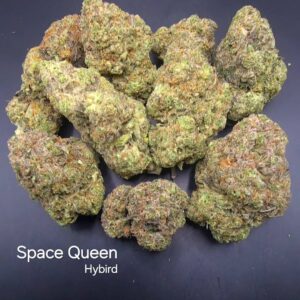 Space Queen - Indica Weed Strain - Koh Kood Island